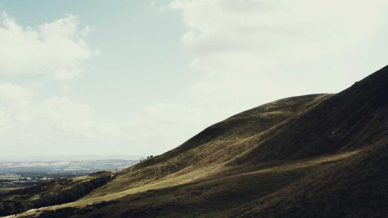 How To Find Your 99 Exchange Id Number Easily?